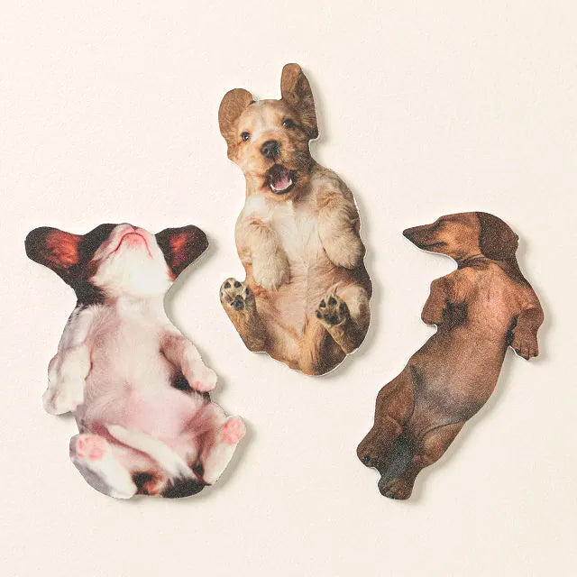 Scratch The Belly Nail Files Set Of 3