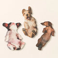 Scratch The Belly Nail Files Set Of 3
