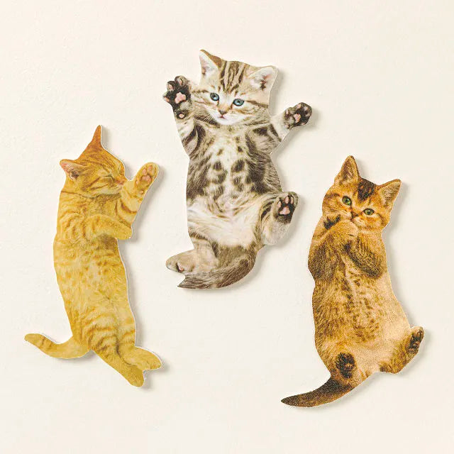 Scratch The Belly Nail Files Set Of 3